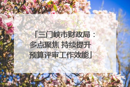 三门峡市财政局：多点聚焦 持续提升预算评审工作效能