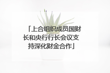 上合组织成员国财长和央行行长会议支持深化财金合作