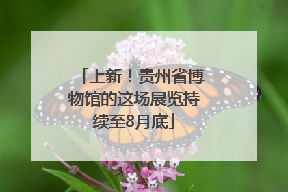 上新！贵州省博物馆的这场展览持续至8月底