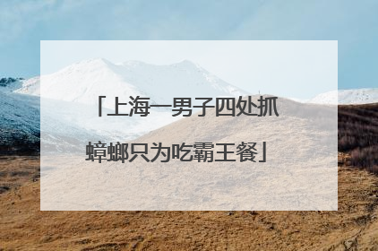 上海一男子四处抓蟑螂只为吃霸王餐
