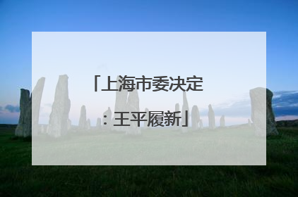 上海市委决定：王平履新