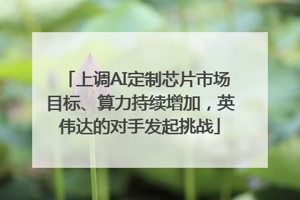 上调AI定制芯片市场目标、算力持续增加，英伟达的对手发起挑战