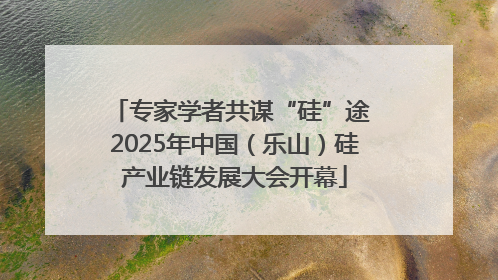 专家学者共谋“硅”途 2025年中国（乐山）硅产业链发展大会开幕