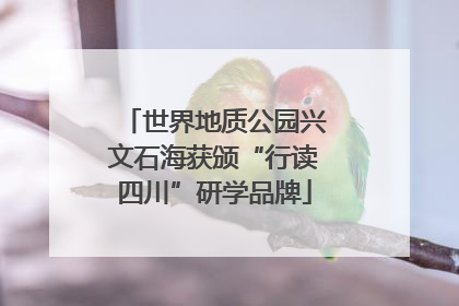 世界地质公园兴文石海获颁“行读四川”研学品牌