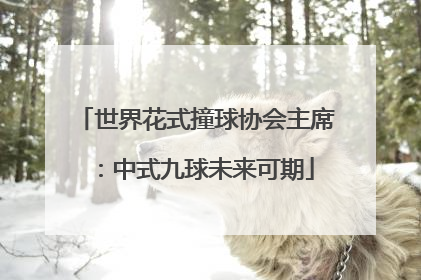 世界花式撞球协会主席：中式九球未来可期