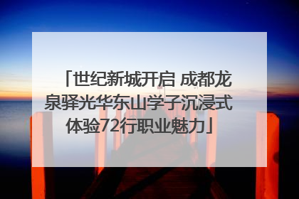 世纪新城开启 成都龙泉驿光华东山学子沉浸式体验72行职业魅力