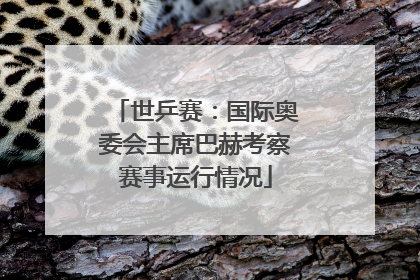世乒赛：国际奥委会主席巴赫考察赛事运行情况