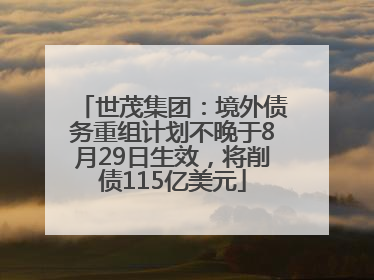 世茂集团：境外债务重组计划不晚于8月29日生效，将削债115亿美元