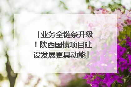 业务全链条升级！陕西国债项目建设发展更具动能