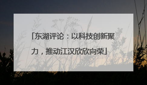 东湖评论：以科技创新聚力，推动江汉欣欣向荣