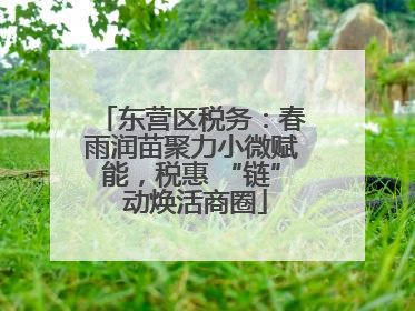 东营区税务：春雨润苗聚力小微赋能，税惠 “链” 动焕活商圈