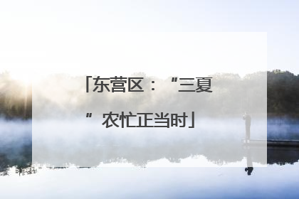 东营区：“三夏”农忙正当时