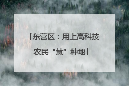 东营区：用上高科技 农民“慧”种地