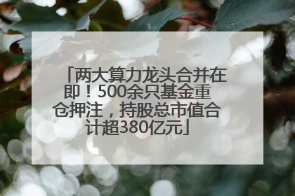 两大算力龙头合并在即！500余只基金重仓押注，持股总市值合计超380亿元