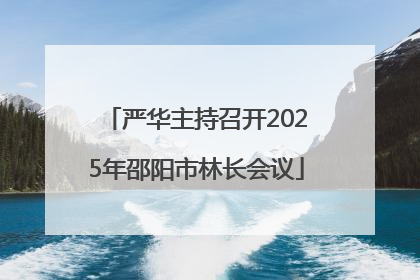 严华主持召开2025年邵阳市林长会议