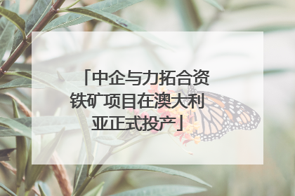 中企与力拓合资铁矿项目在澳大利亚正式投产