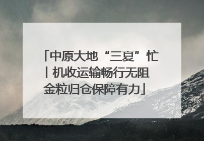 中原大地“三夏”忙丨机收运输畅行无阻 金粒归仓保障有力