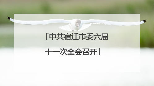 中共宿迁市委六届十一次全会召开