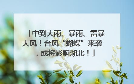 中到大雨、暴雨、雷暴大风！台风“蝴蝶”来袭，或将影响湖北！