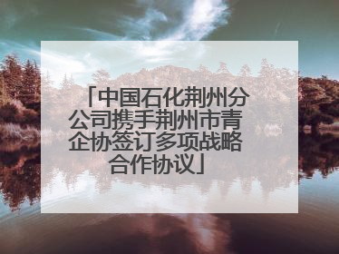 中国石化荆州分公司携手荆州市青企协签订多项战略合作协议