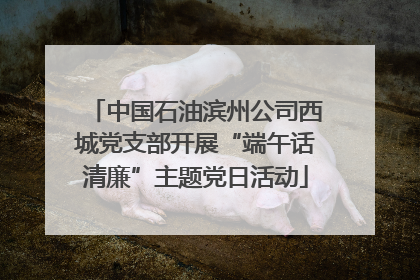 中国石油滨州公司西城党支部开展“端午话清廉”主题党日活动