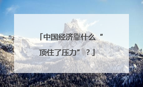 中国经济靠什么“顶住了压力”？