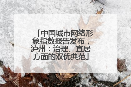 中国城市网络形象指数报告发布，泸州：治理、宜居方面的双优典范