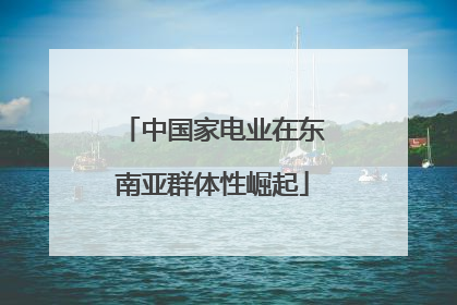 中国家电业在东南亚群体性崛起
