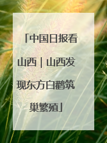 中国日报看山西｜山西发现东方白鹳筑巢繁殖