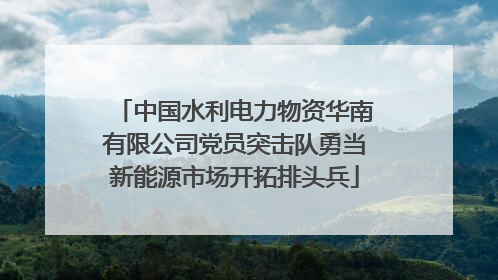 中国水利电力物资华南有限公司党员突击队勇当新能源市场开拓排头兵