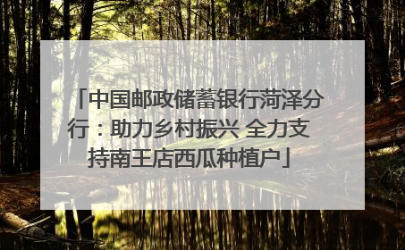中国邮政储蓄银行菏泽分行：助力乡村振兴 全力支持南王店西瓜种植户