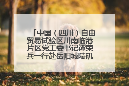 中国（四川）自由贸易试验区川南临港片区党工委书记谭荣兵一行赴岳阳城陵矶综保区考察