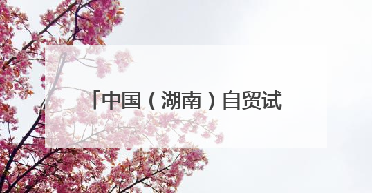 中国（湖南）自贸试验区对非合作创新成果发布 长沙片区对非贸易年均增长141%