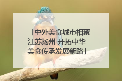 中外美食城市相聚江苏扬州 开拓中华美食传承发展新路