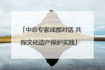 中意专家成都对话 共探文化遗产保护实践