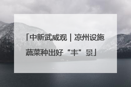 中新武威观｜凉州设施蔬菜种出好“丰”景