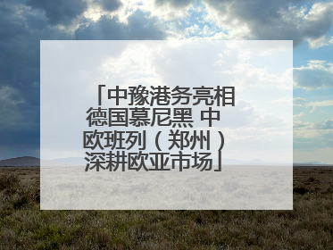 中豫港务亮相德国慕尼黑 中欧班列（郑州）深耕欧亚市场