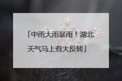 中雨大雨暴雨！湖北天气马上有大反转