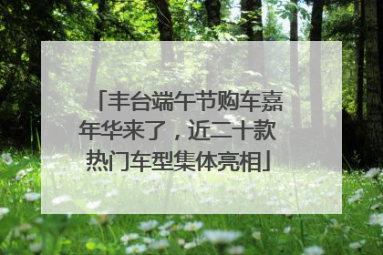 丰台端午节购车嘉年华来了，近二十款热门车型集体亮相