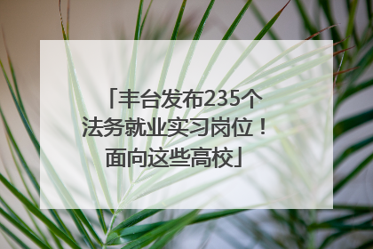 丰台发布235个法务就业实习岗位！面向这些高校