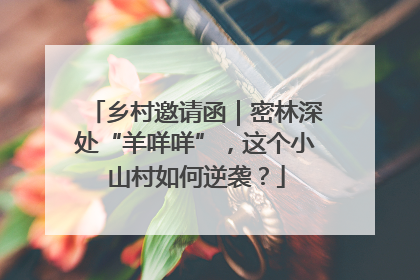 乡村邀请函｜密林深处“羊咩咩”，这个小山村如何逆袭？