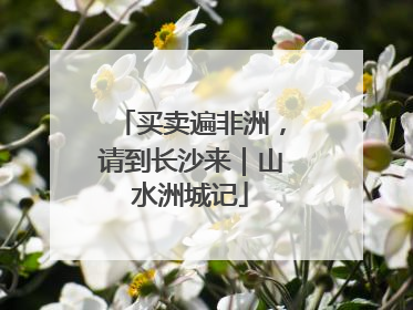 买卖遍非洲，请到长沙来｜山水洲城记