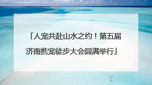 人宠共赴山水之约！第五届济南携宠徒步大会圆满举行