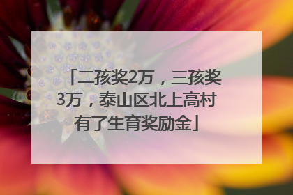 二孩奖2万，三孩奖3万，泰山区北上高村有了生育奖励金