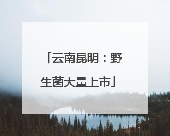 云南昆明：野生菌大量上市