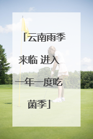 云南雨季来临 进入一年一度吃菌季