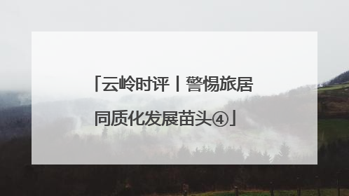 云岭时评丨警惕旅居同质化发展苗头④