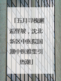 五月寻槐邂逅怪坡，沈北新区中医院国潮中医雅集引热潮