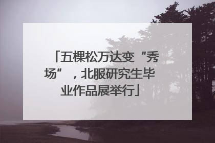 五棵松万达变“秀场”，北服研究生毕业作品展举行