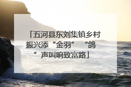 五河县东刘集镇乡村振兴添“金羽” “鸽”声叫响致富路